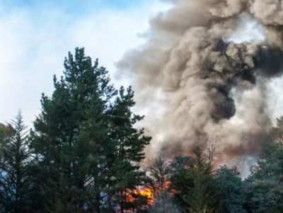 INCENDI BOSCHIVI