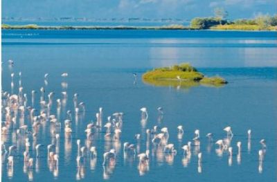 A3 Gita Delta del Po 26 maggio 2025-001