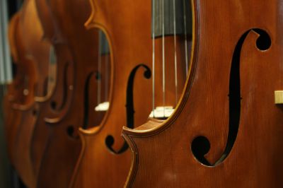 Violini