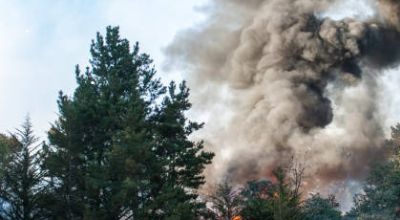 INCENDI BOSCHIVI