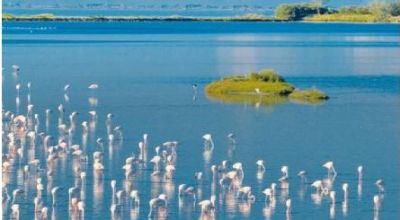 A3 Gita Delta del Po 26 maggio 2025-001