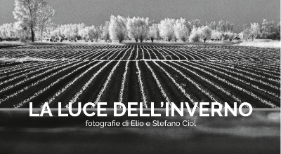 Copertina Luce dell'Inverno